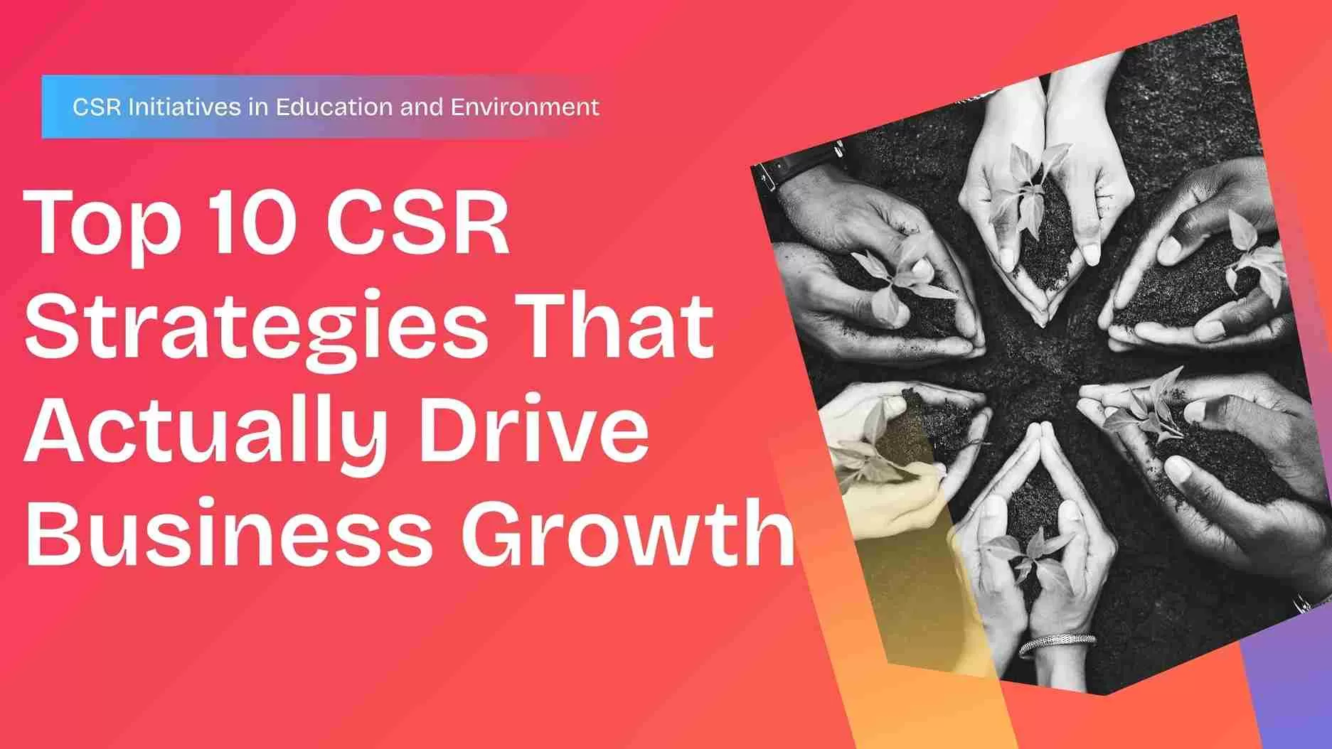 Top 10 CSR Strategies That Actually Drive Business Growth