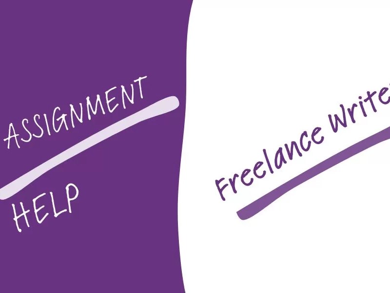 Online Assignment Help vs Freelance Writers – Which Is Better?